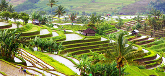 Bali
